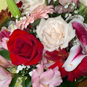 Meet your Posher, Katherine